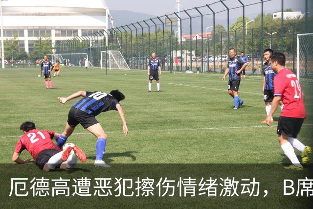 厄德高遭恶犯擦伤情绪激动，B席淡然回应：这就是足球